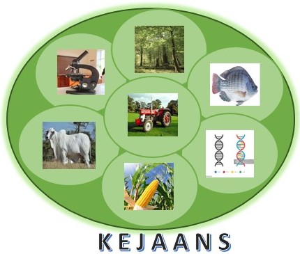 KEJAANS Logo